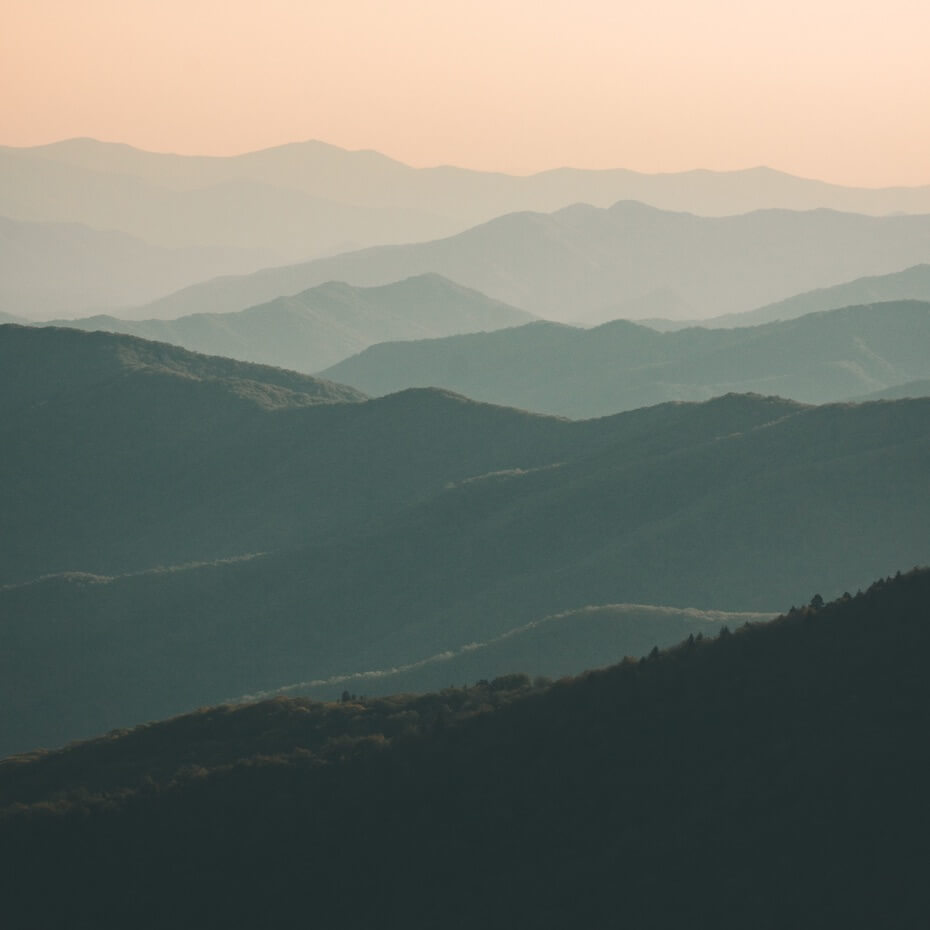 Forested rolling hills